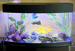 светодиодные светильники +для аквариумных растений