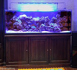 морской акриловый аквариум 500 литров