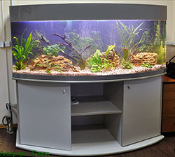 аквариум панорама 500 литров