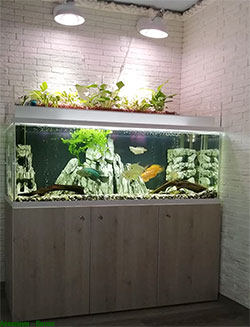аквариум с фитофильтром 