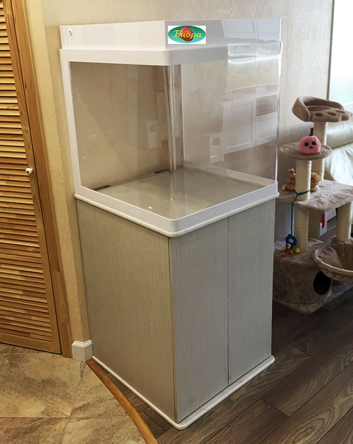 �������� ������� ����� ����