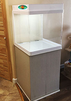 �������� ��� � ������ ������