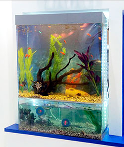 двухэтажный аквариум 