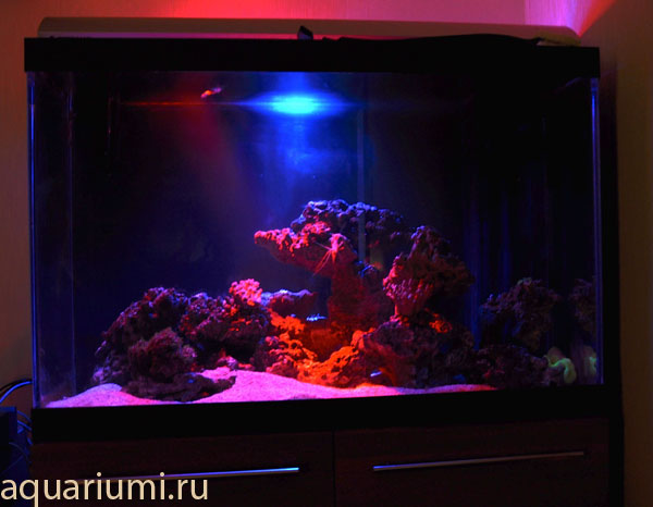 Светодиодный (LED) светильник своими руками - Освещение в аквариуме с растениями - AP